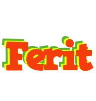 Ferit bbq logo