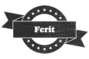 Ferit grunge logo