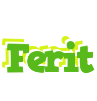 Ferit picnic logo