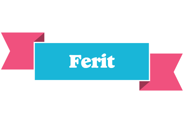 Ferit today logo