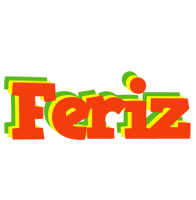Feriz bbq logo