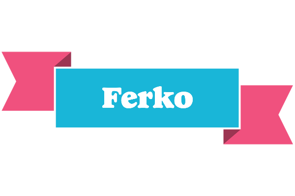 Ferko today logo