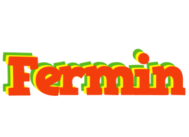 Fermin bbq logo