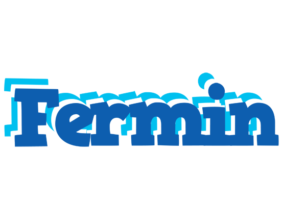 Fermin business logo