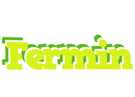 Fermin citrus logo