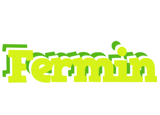 Fermin citrus logo