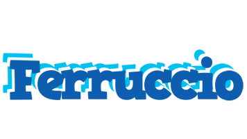 Ferruccio business logo
