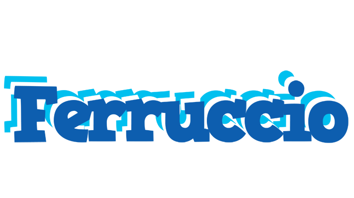 Ferruccio business logo