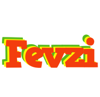 Fevzi bbq logo