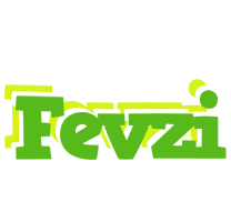 Fevzi picnic logo