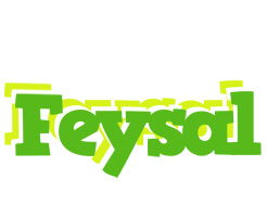 Feysal picnic logo