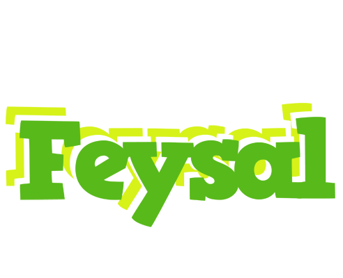 Feysal picnic logo