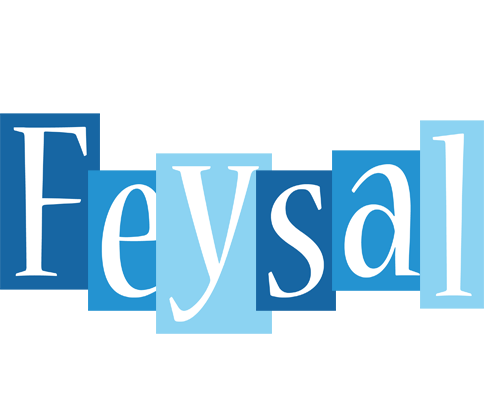 Feysal winter logo