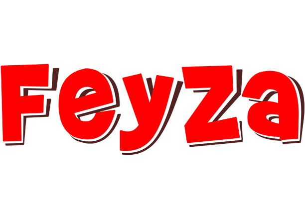 Feyza basket logo