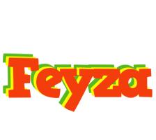 Feyza bbq logo
