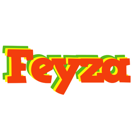 Feyza bbq logo