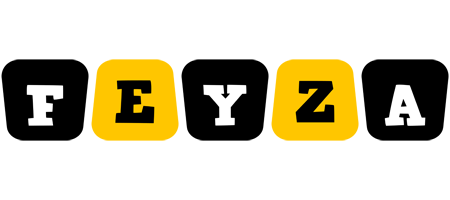 Feyza boots logo