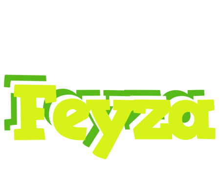 Feyza citrus logo