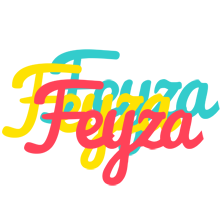 Feyza disco logo