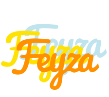 Feyza energy logo