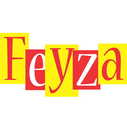 Feyza errors logo