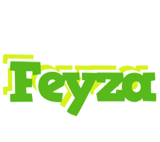 Feyza picnic logo