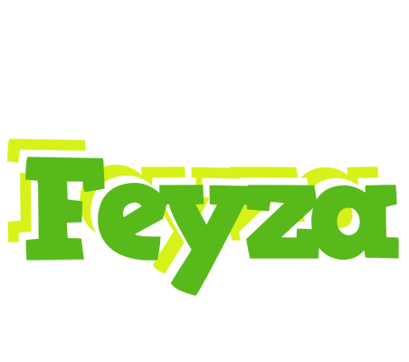 Feyza picnic logo
