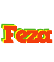 Feza bbq logo