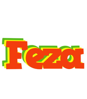 Feza bbq logo
