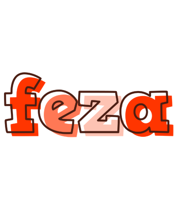 Feza paint logo