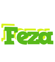 Feza picnic logo