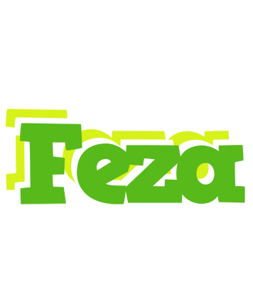 Feza picnic logo