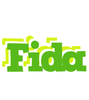 Fida picnic logo