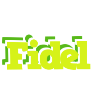 Fidel citrus logo