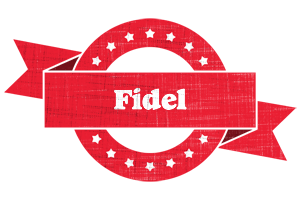 Fidel passion logo