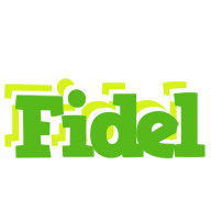 Fidel picnic logo