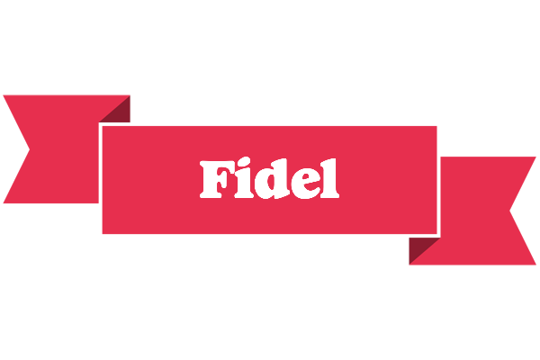 Fidel sale logo
