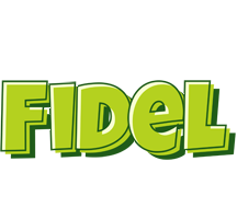Fidel summer logo