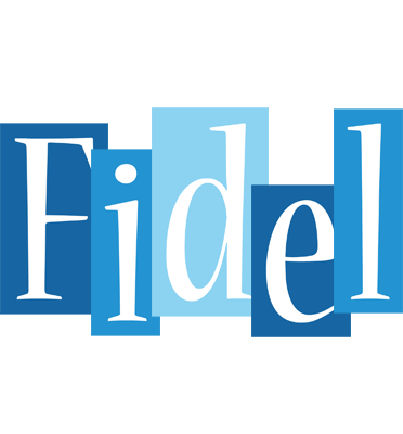Fidel winter logo
