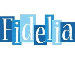 Fidelia winter logo