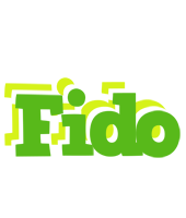 Fido picnic logo