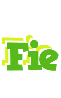 Fie picnic logo