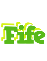 Fife picnic logo