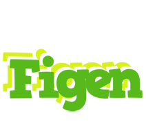 Figen picnic logo