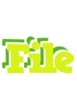 File citrus logo