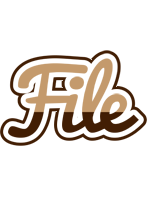 File exclusive logo