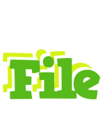 File picnic logo