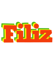 Filiz bbq logo