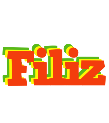 Filiz bbq logo