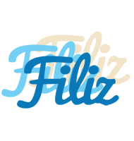 Filiz breeze logo